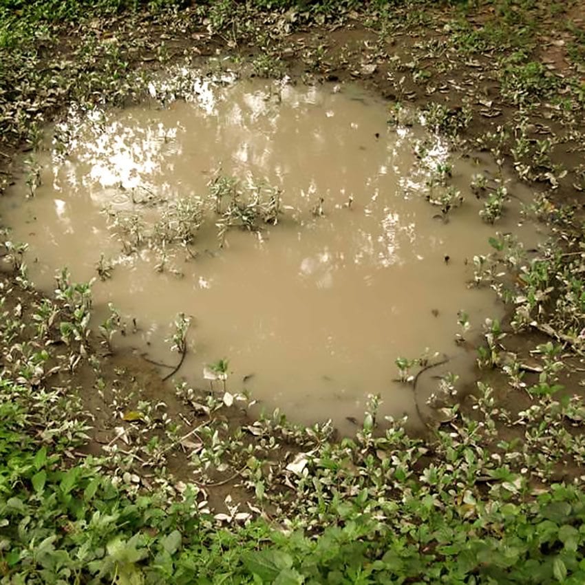 AK8028 - Puddles (60ml)