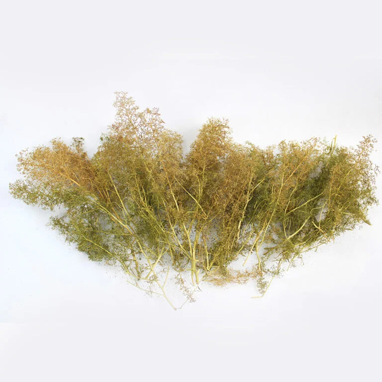 WWS - Mixed Size: Sea Foam Tree Box