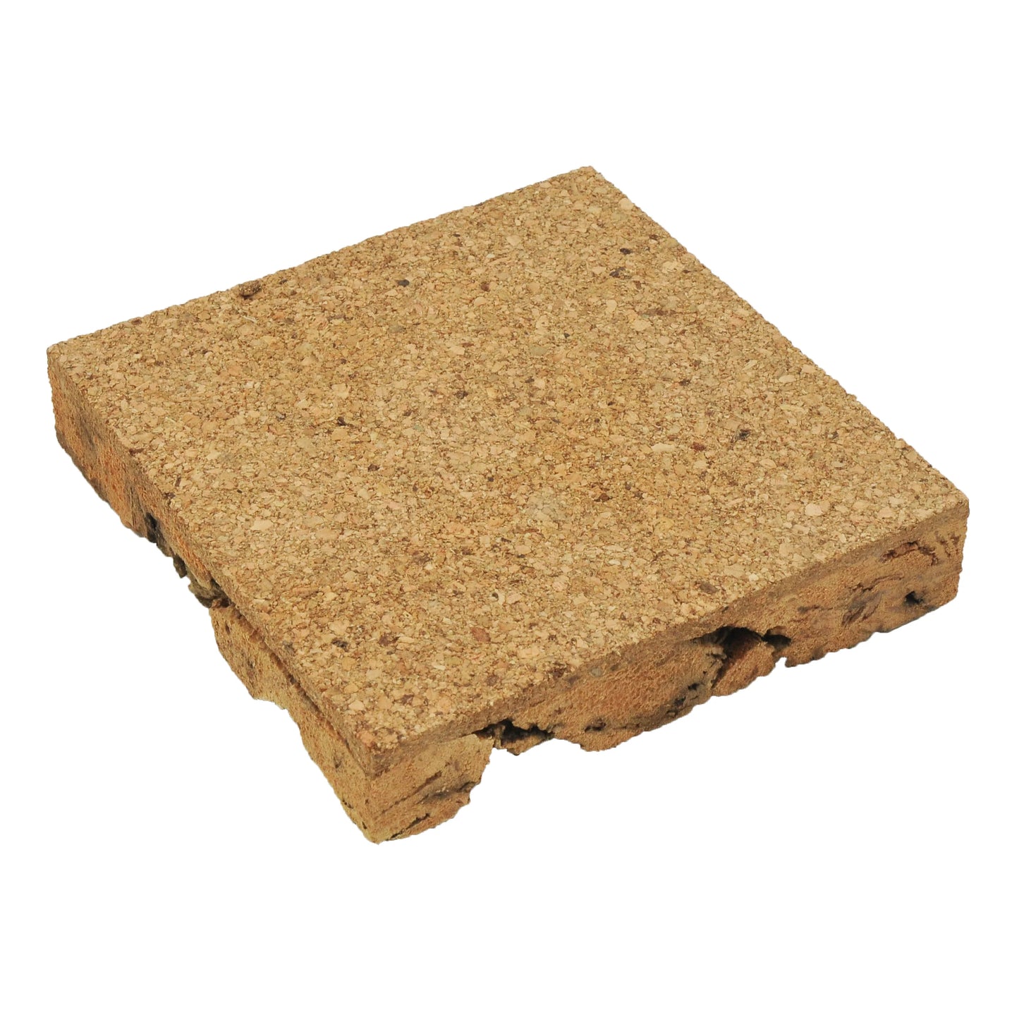 Model Railway Large Cork Bark - 100mm x 100mm