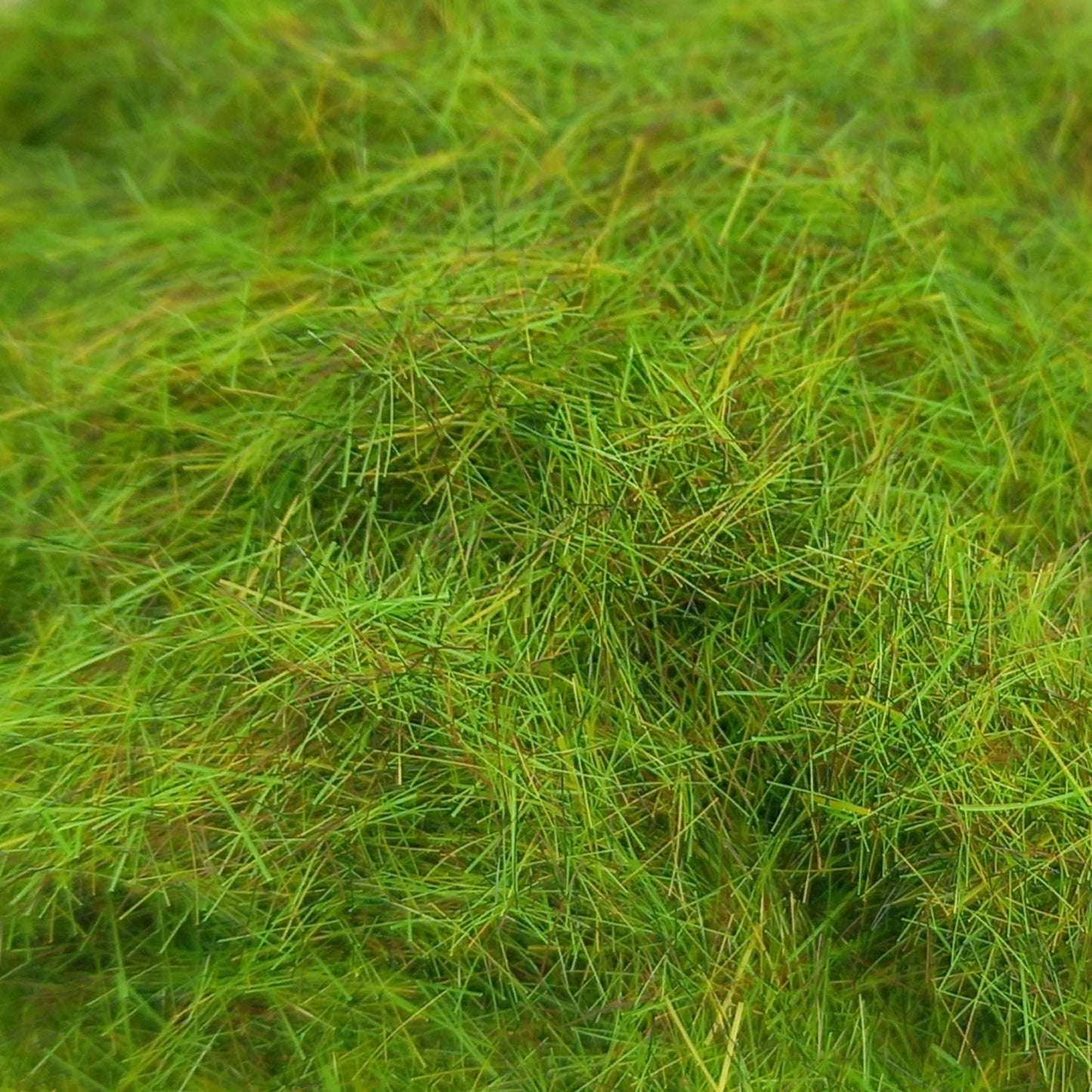 6mm Summer - Static Grass