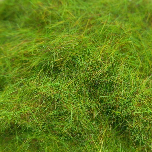 6mm  Summer - Static Grass