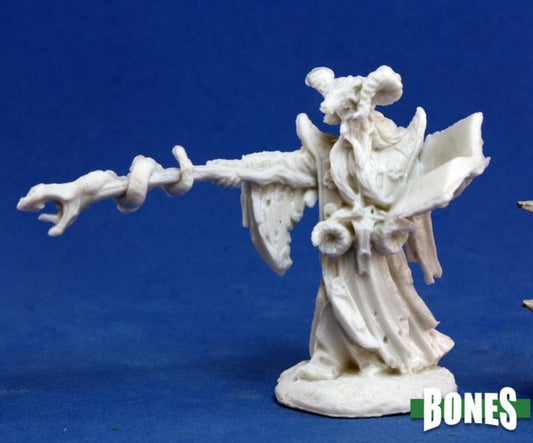 Reaper Bones 77174 - Leisynn, Mercenary Mage