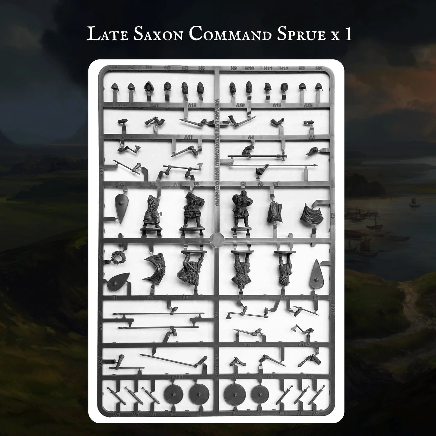 Victrix | Saxon Warband