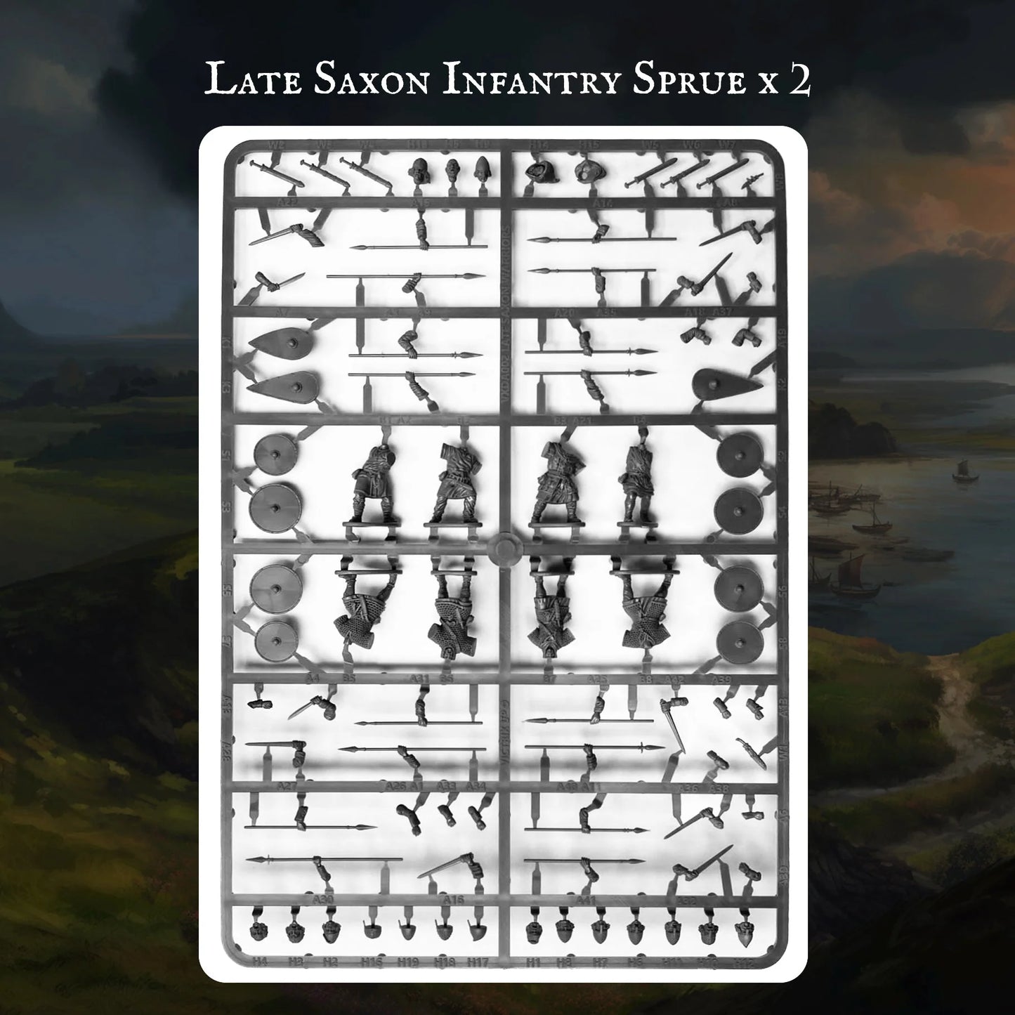 Victrix | Saxon Warband