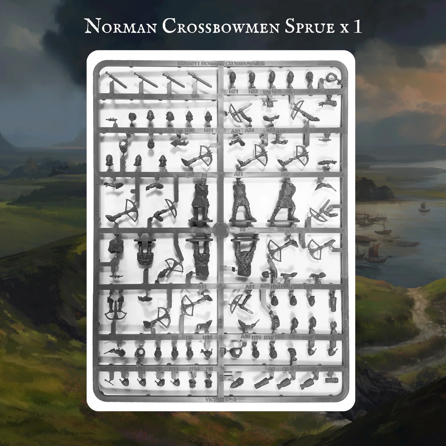 Victrix | Norman Warband