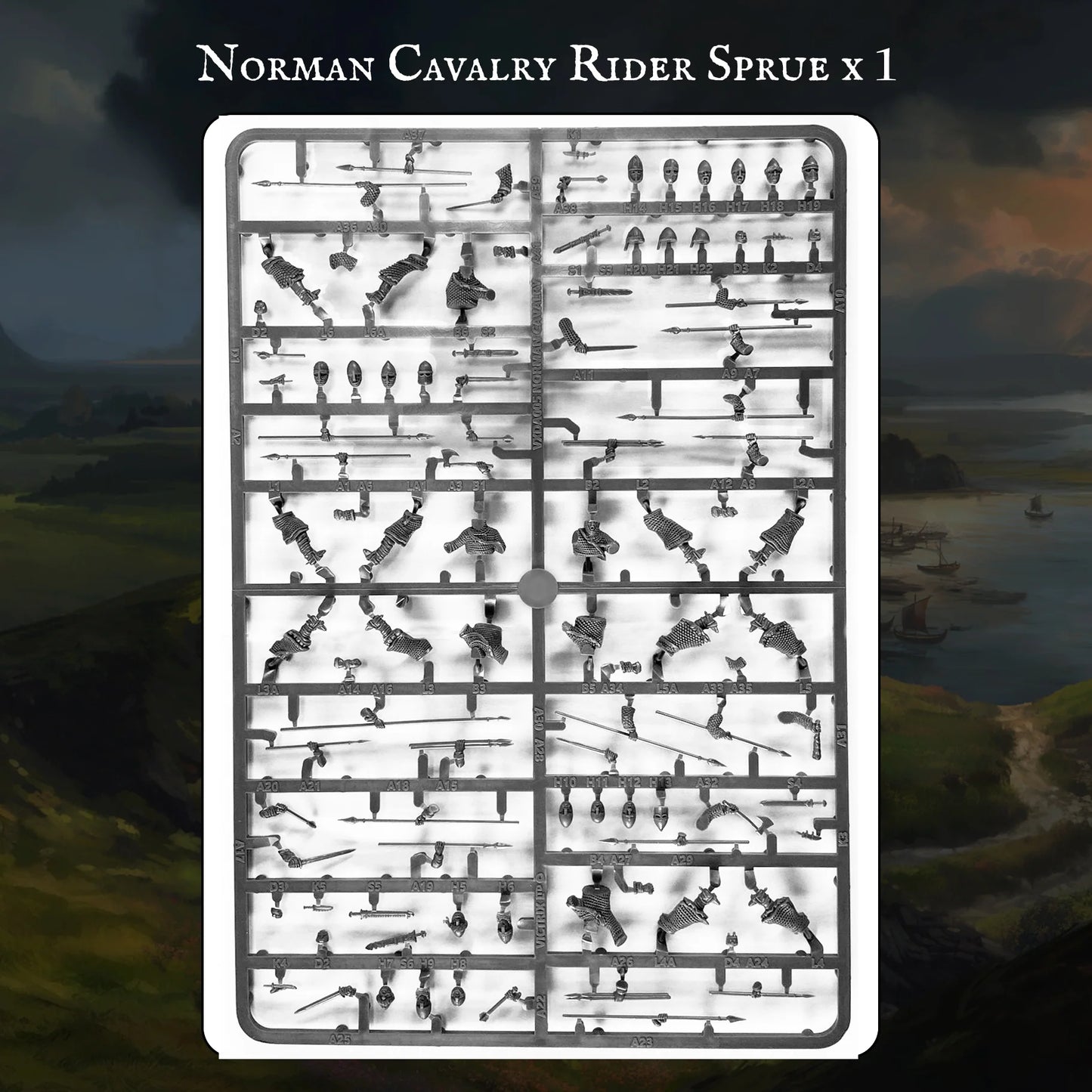 Victrix | Norman Warband