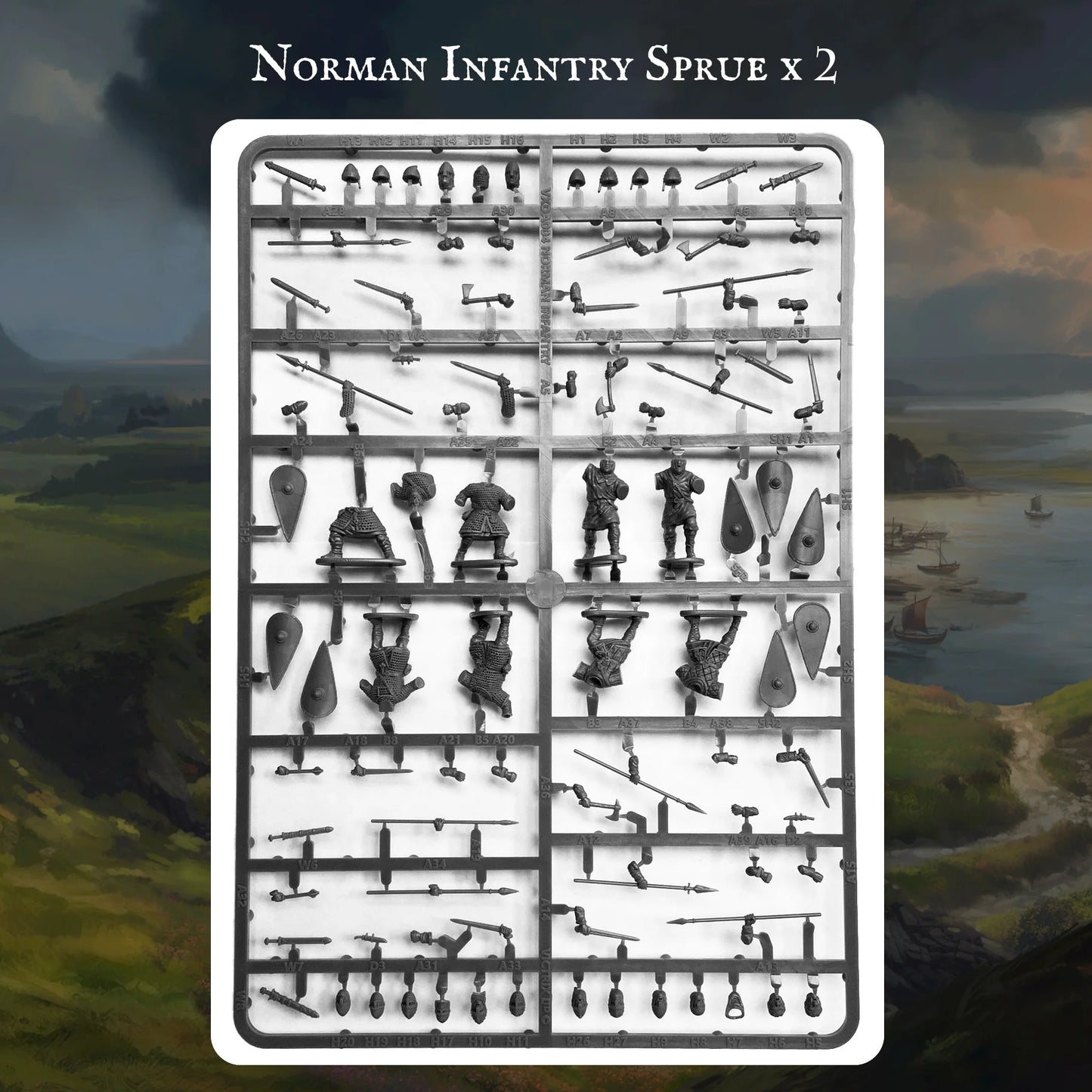 Victrix | Norman Warband