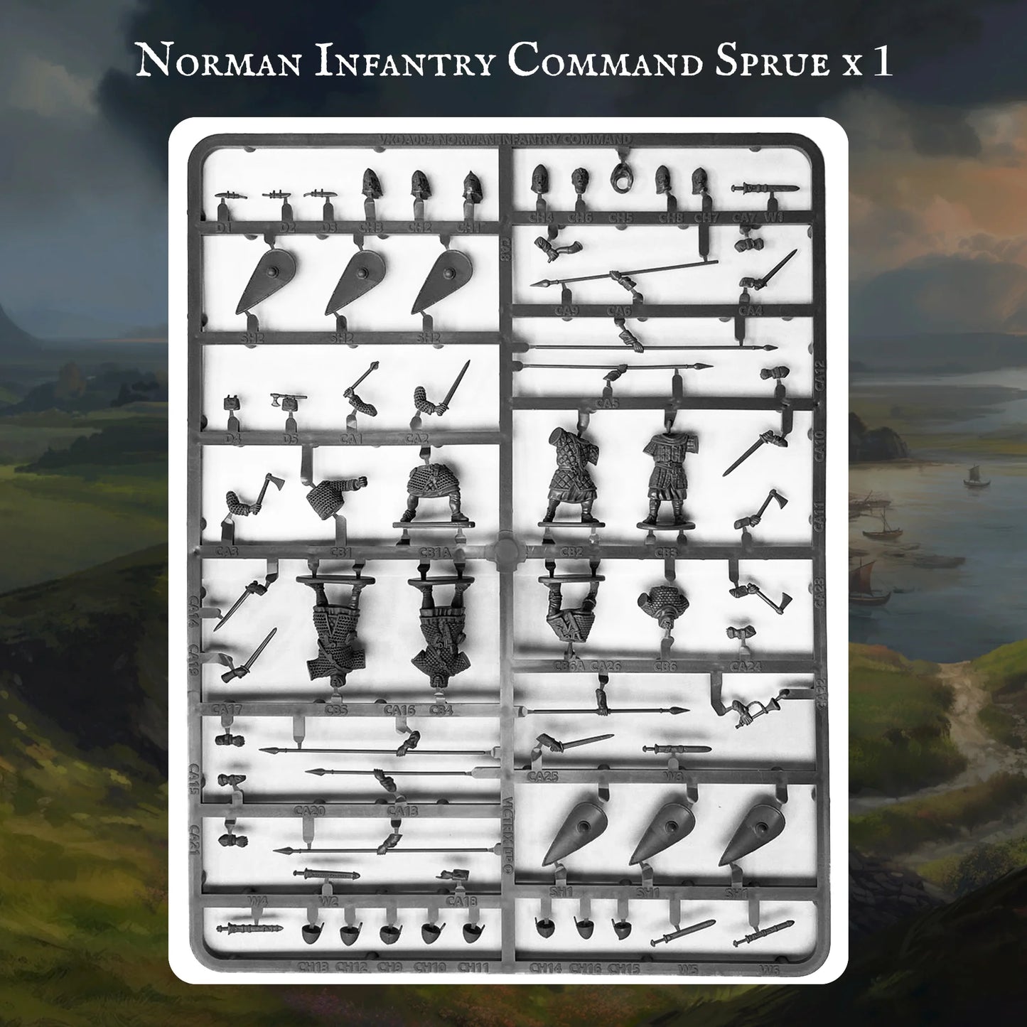 Victrix | Norman Warband