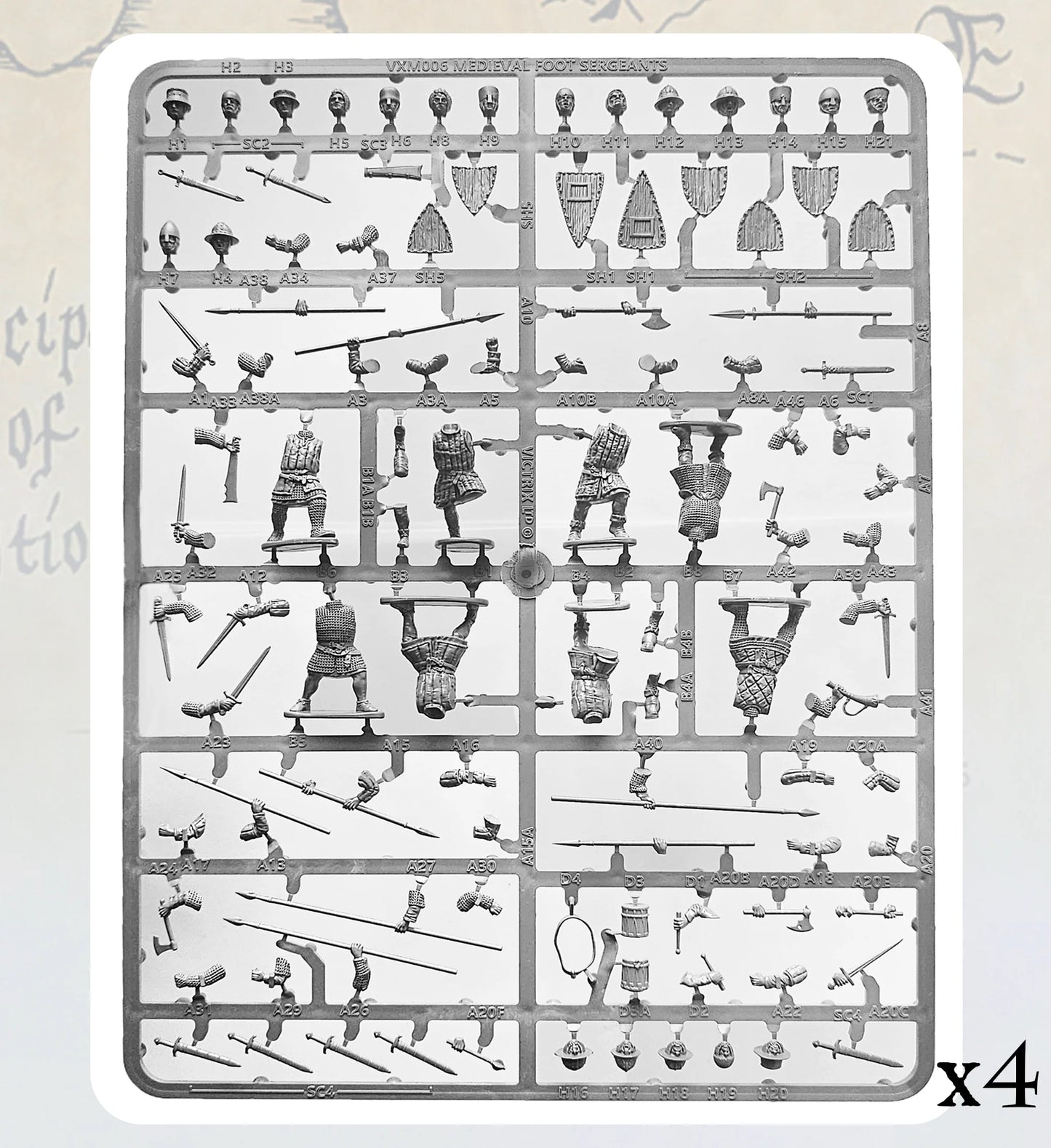 Victrix | Medieval Foot Sergeants