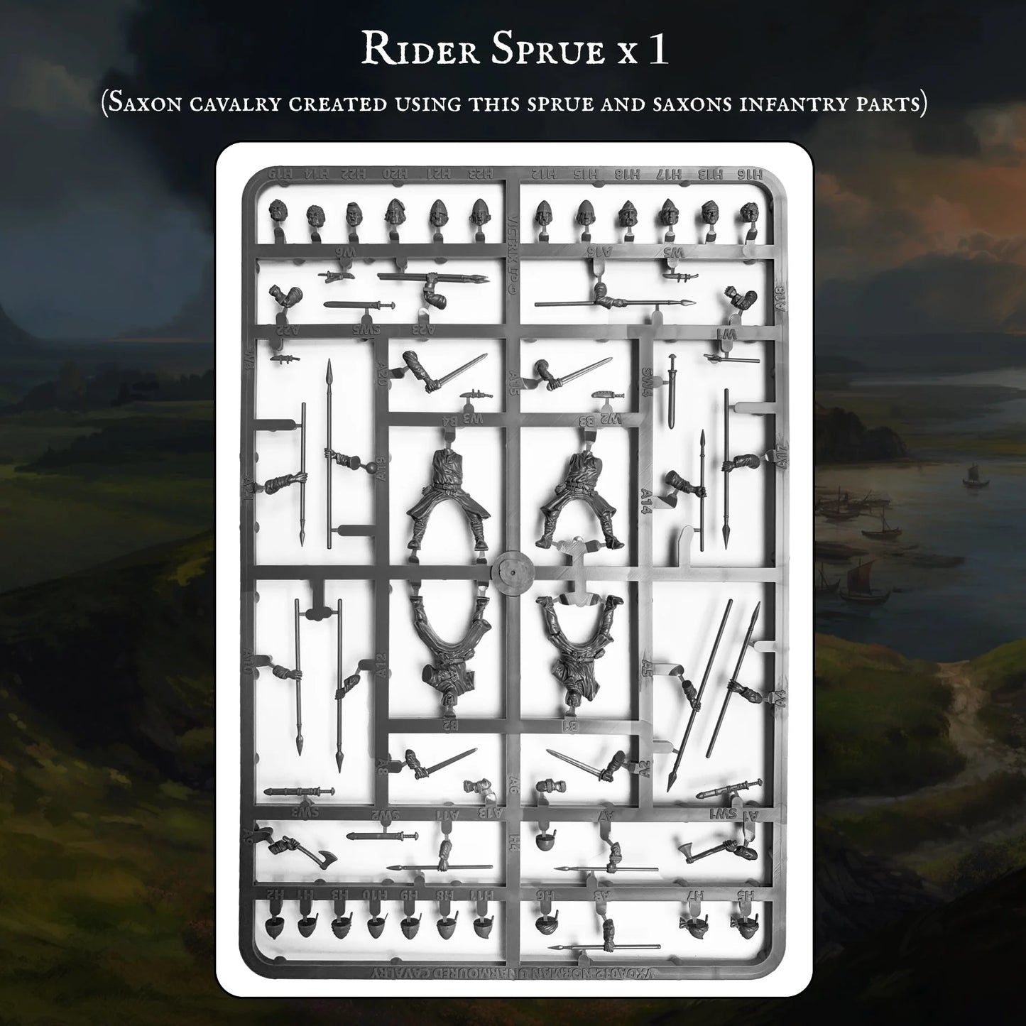 Victrix | Saxon Warband